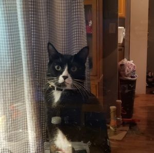 Meet your Posher, Lee